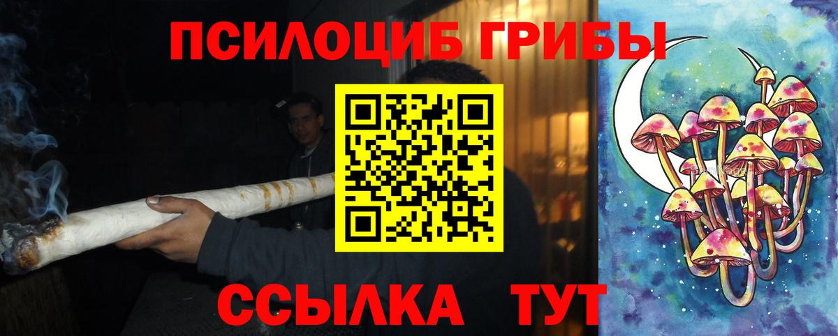 Саров  где можно купить   Вход с VPN  Псилоцибиновые грибы GOLDEN TEACHER 